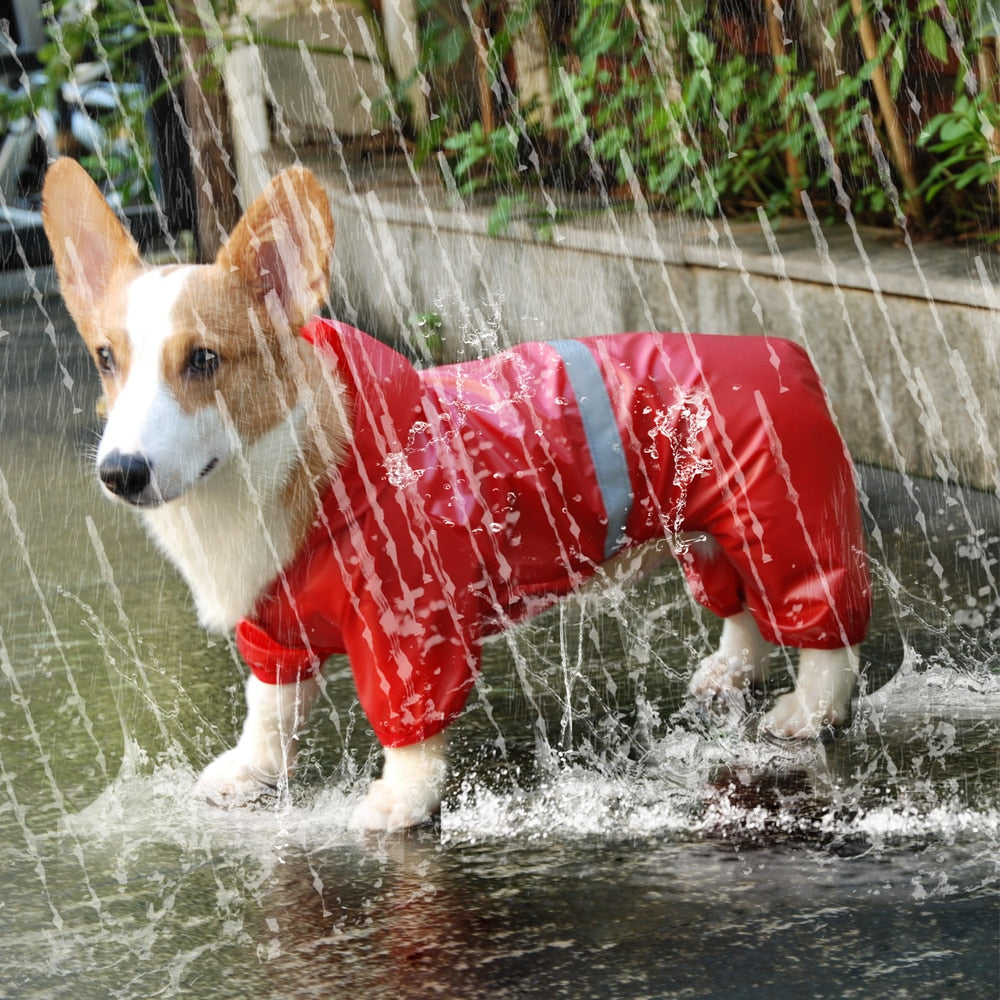 Waterproof dog raincoat